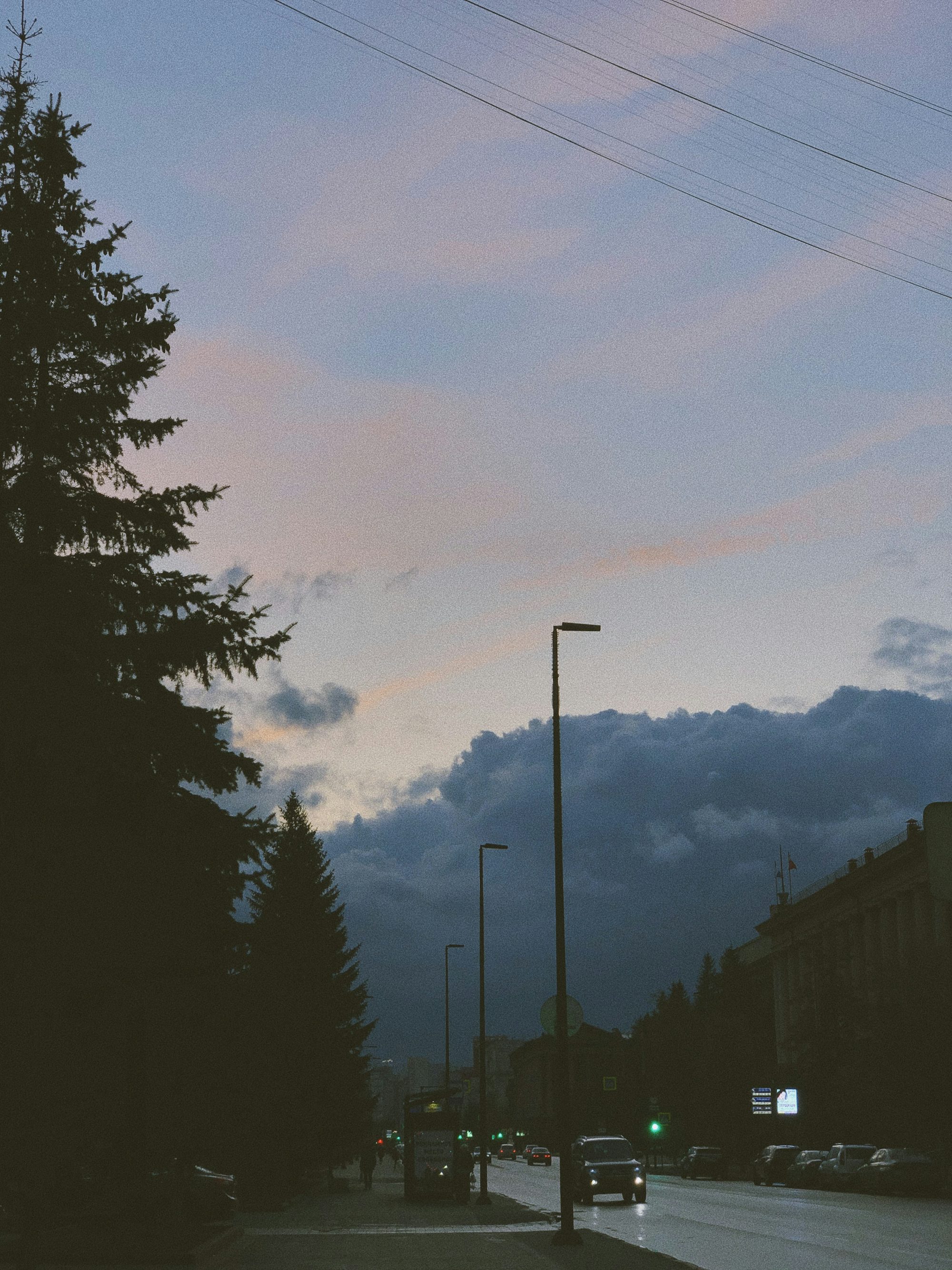 cars near light post and trees