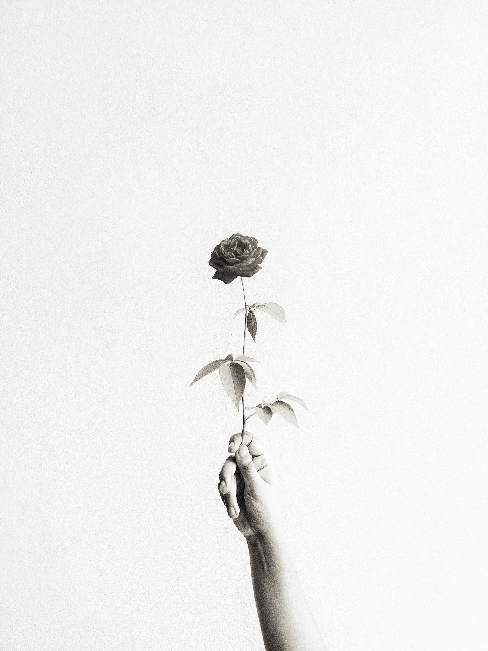 a black and white photo of a person holding a flower