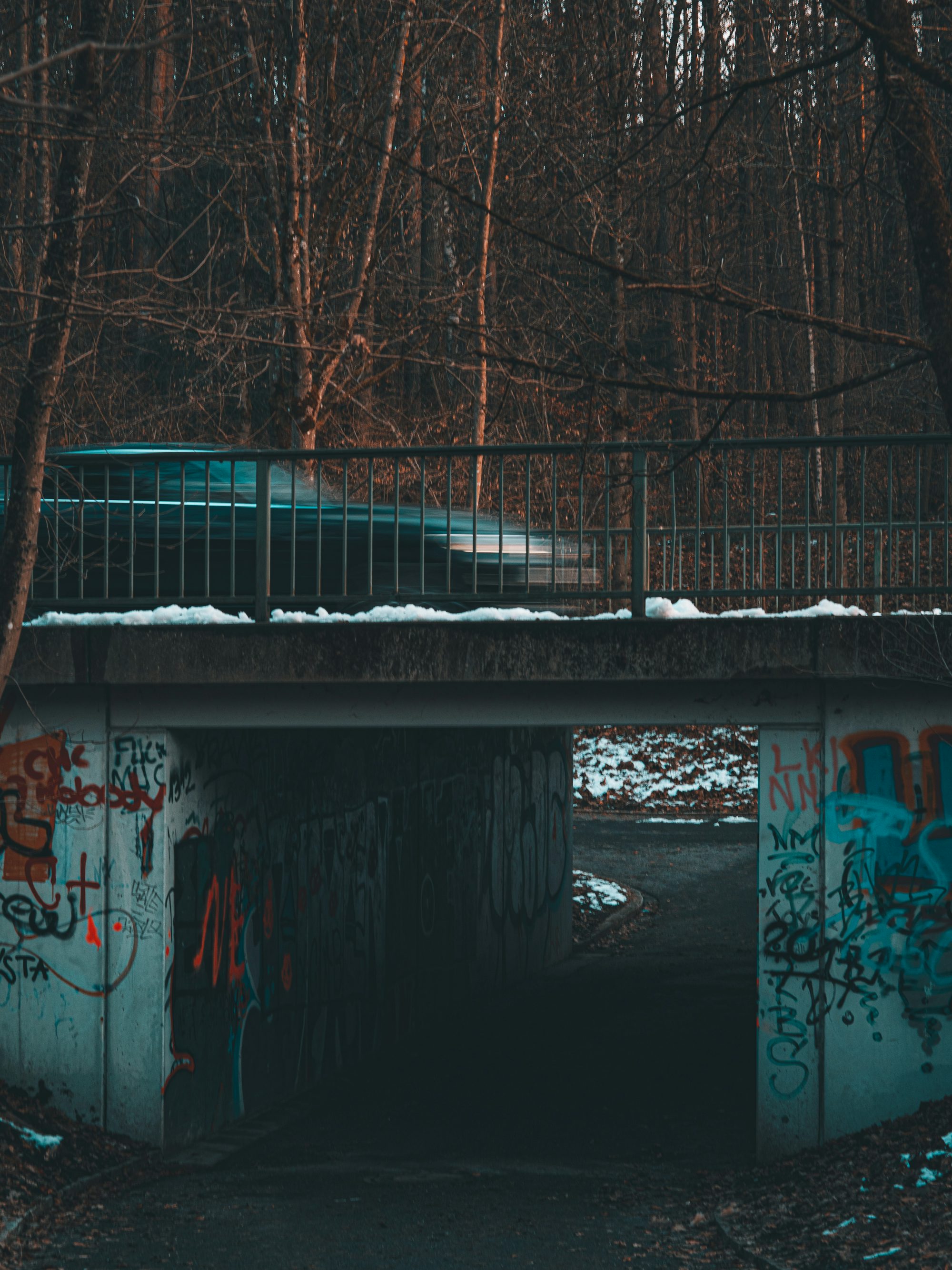 a bridge with graffiti on it in the middle of a forest