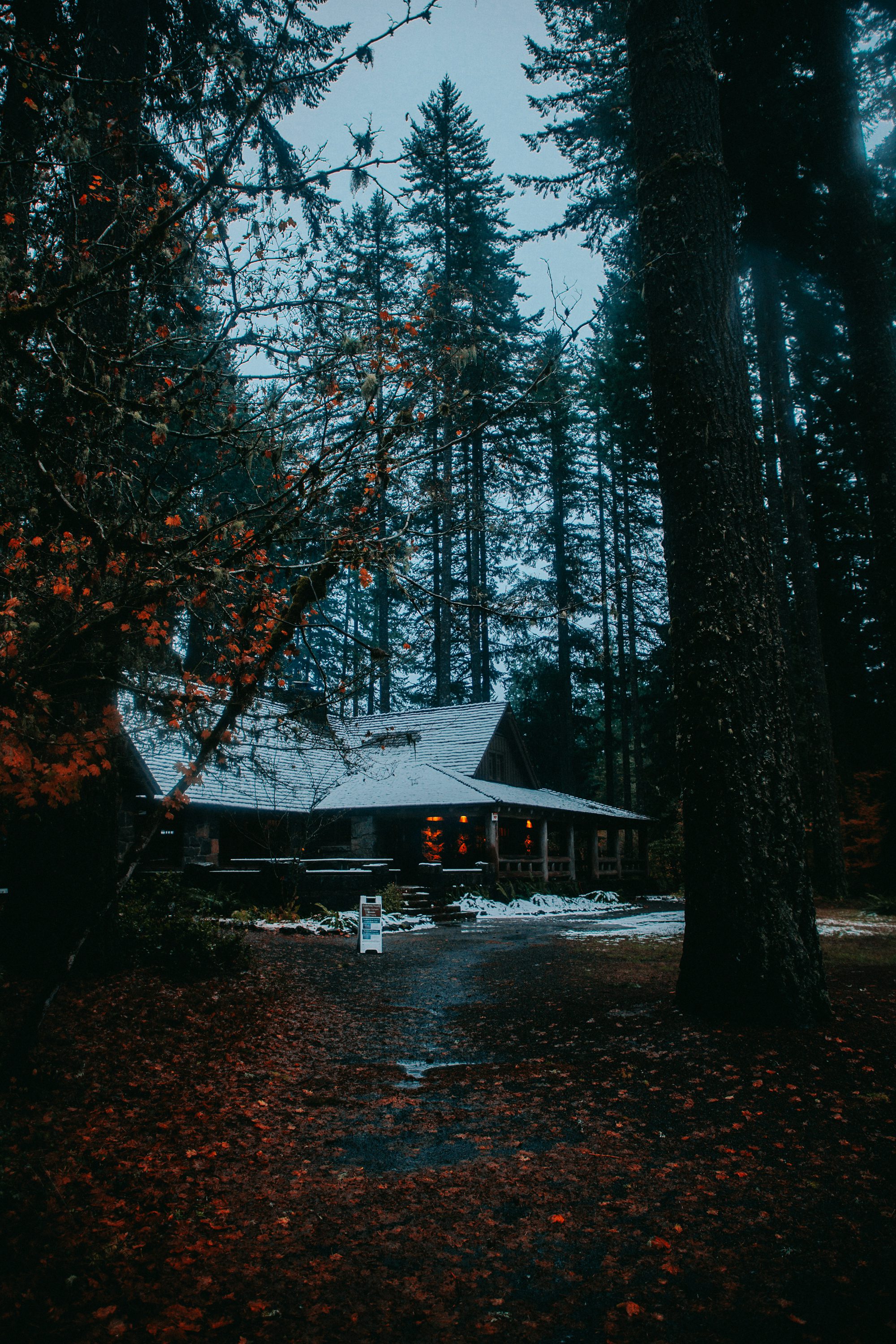 a house with trees around it