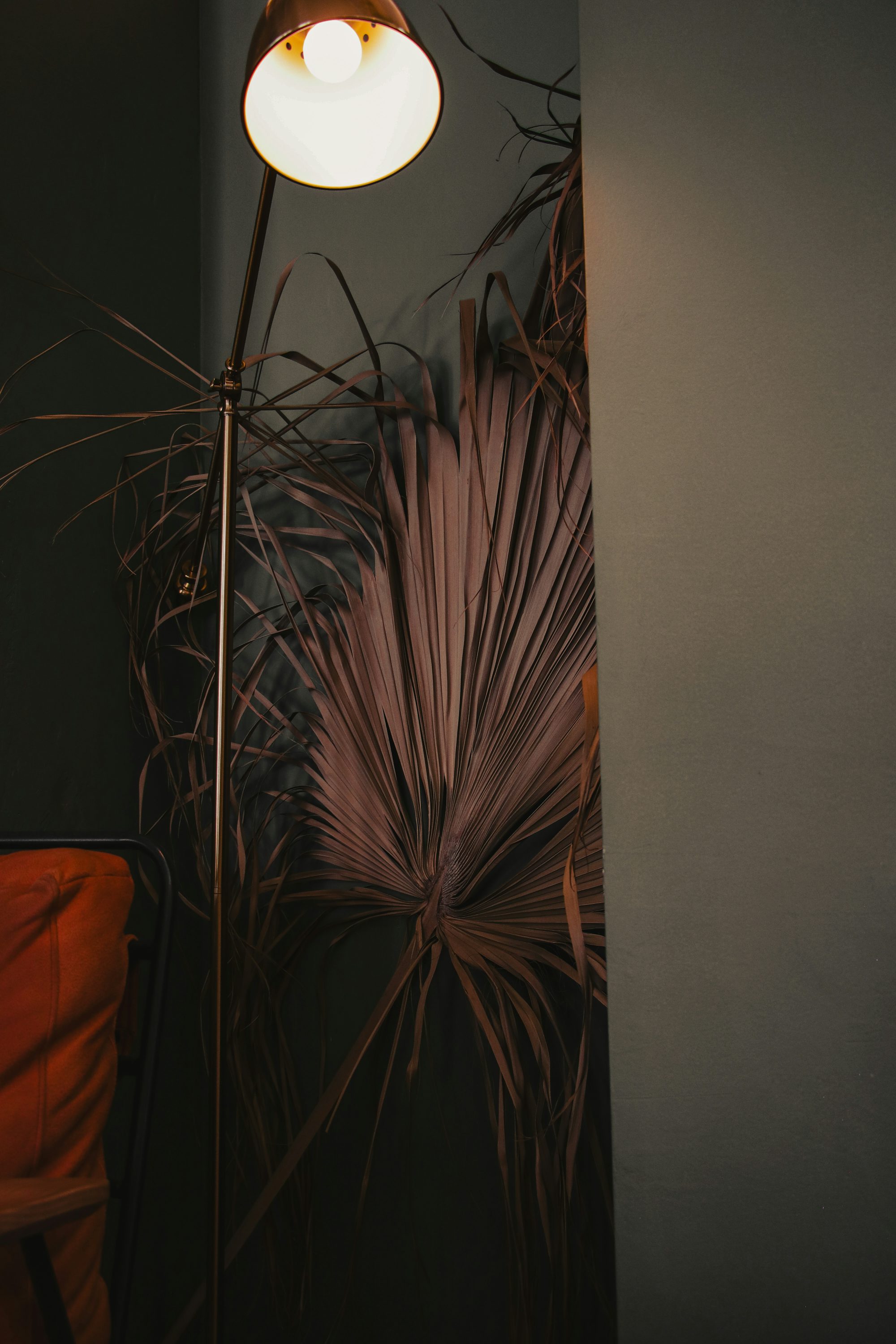 a lamp that is next to a plant